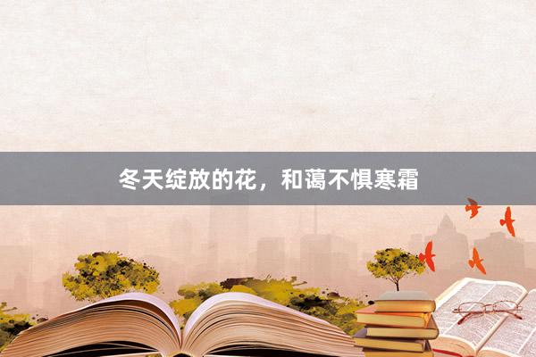 冬天绽放的花，和蔼不惧寒霜