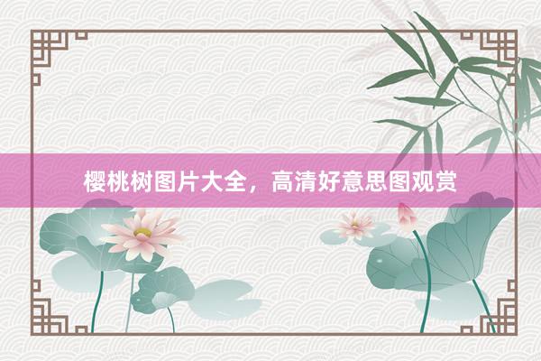 樱桃树图片大全，高清好意思图观赏